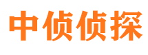 南山市侦探调查公司